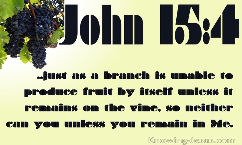 John 15:4 Abide In The Vine (yellow)